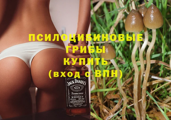 apvp Краснослободск