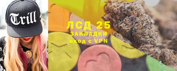 PSILOCYBIN Корсаков