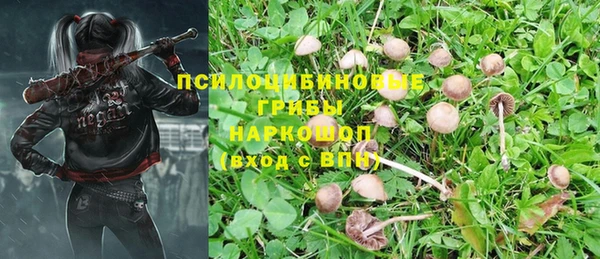 скорость Краснотурьинск